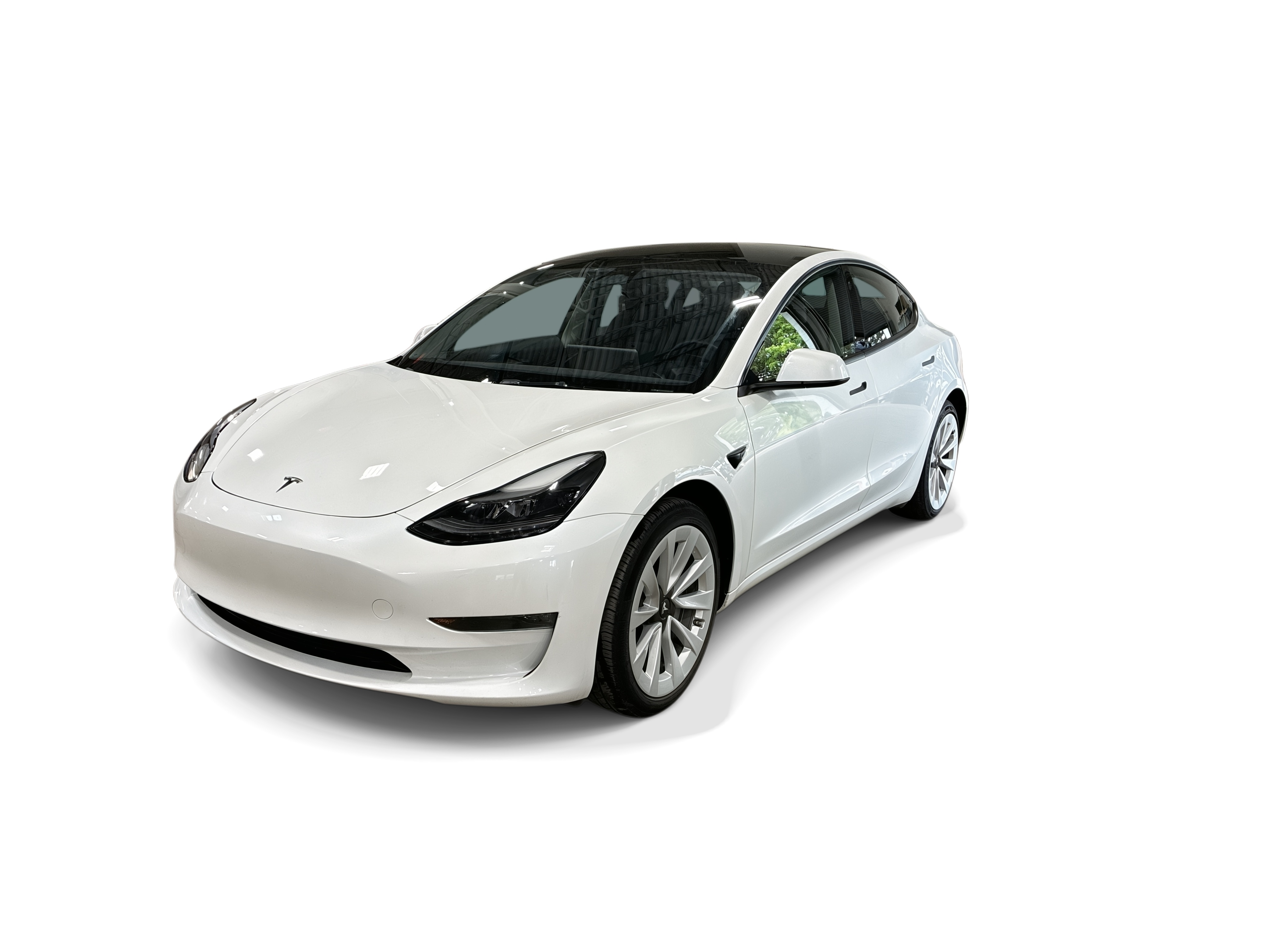 tesla model 3 2023 5YJ3E1EA1PF637996 image tesla model 3 2023 5YJ3E1EA1PF637996 image